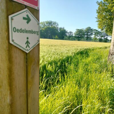 Foto van een bordje met wegwijzer wandeling Oedelemberg